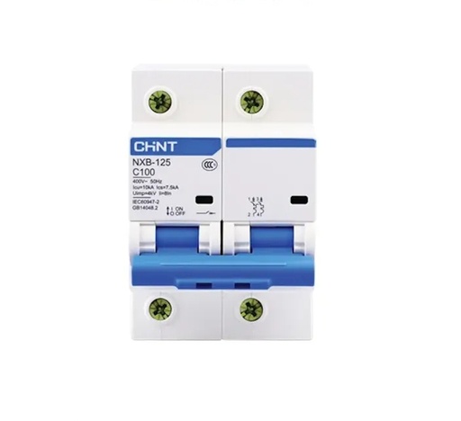 [NXB-125 2P C100 10KA] Termica Bipolar 100A 10kA Curva C CHINT